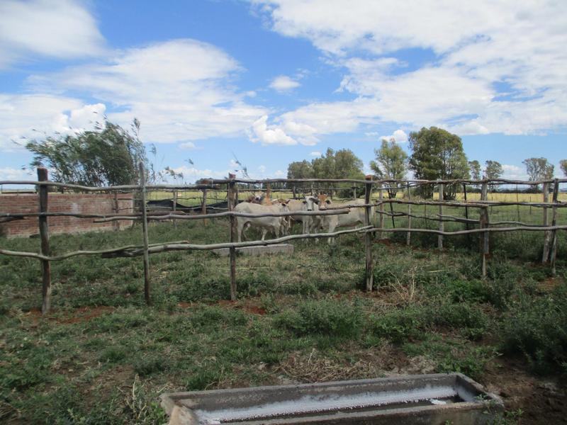 4 Bedroom Property for Sale in Bloemdal Free State